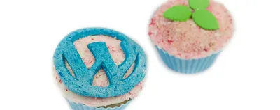 Adding Captcha To Wordpress Contact Form